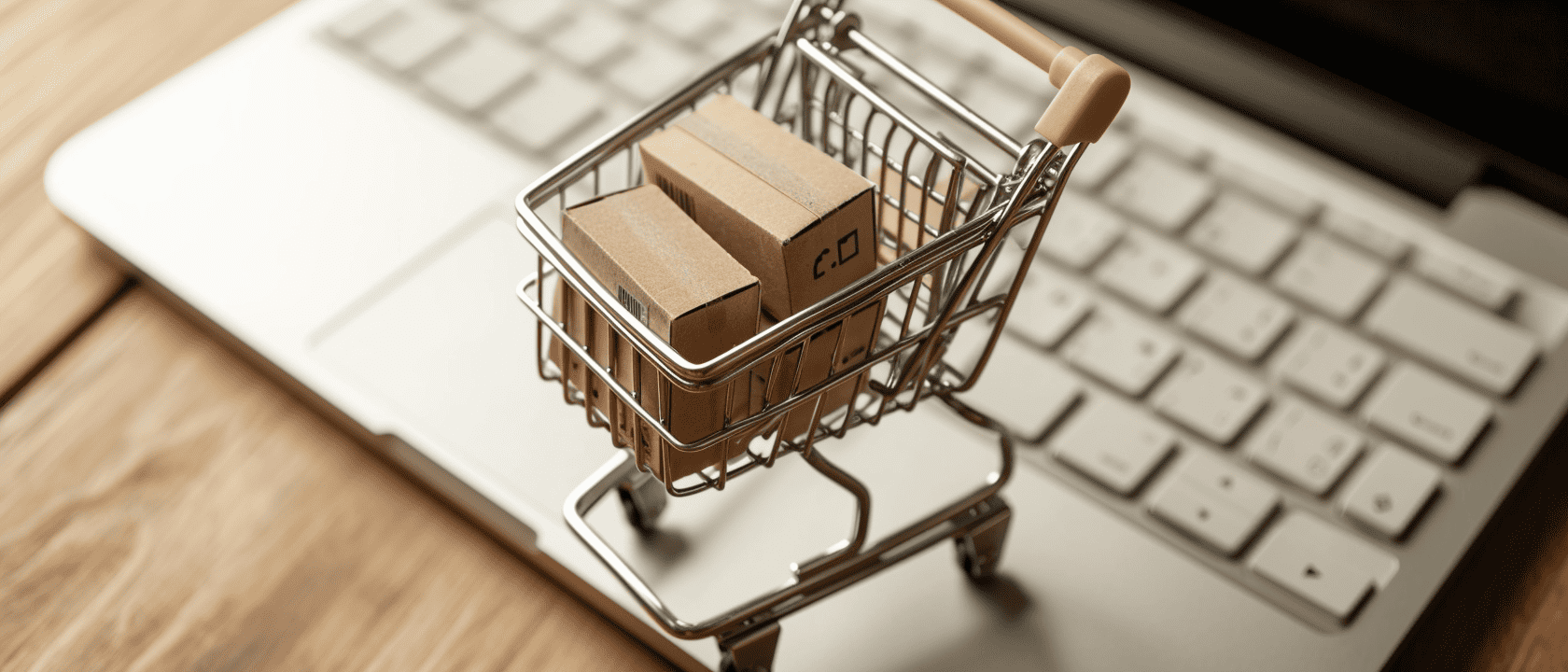 How to earn money as an introvert: Pursue e-commerce