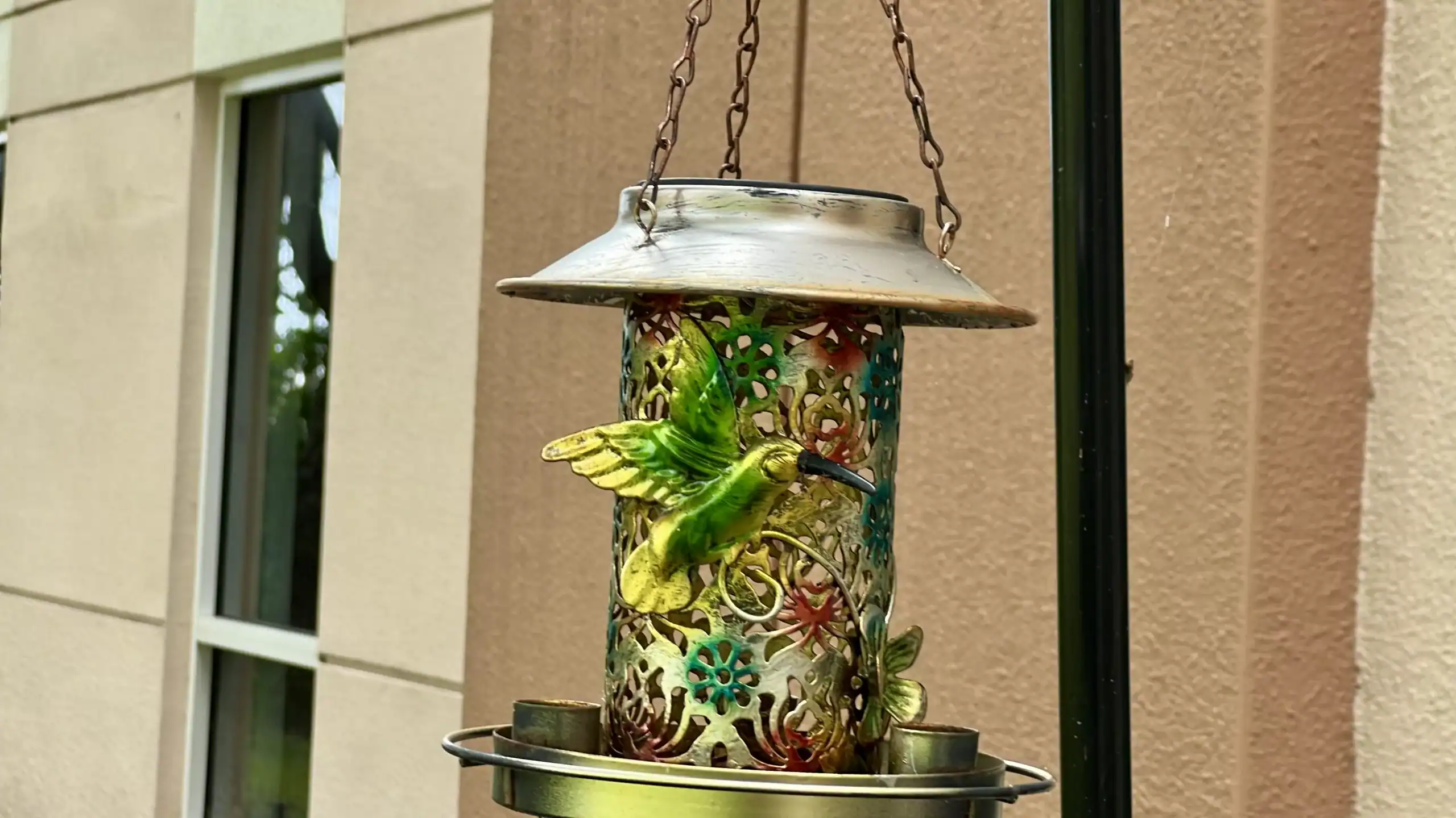 Bird Feeder Outside of Palm Beach County Housing Authority GCNN Good Citizen News Network goodcitizennewsnetwork.com News That's Not Fake