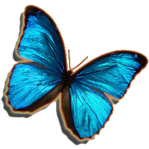 A blue butterfly with black edges on its wings is shown with its wings open against a transparent background.