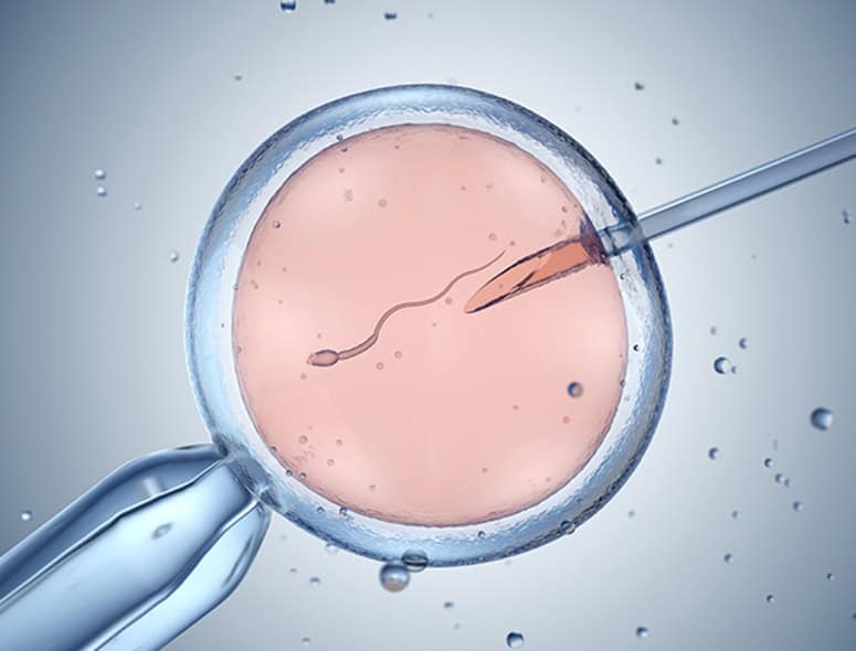 Fertility treatment process with sperm and egg in laboratory setting.