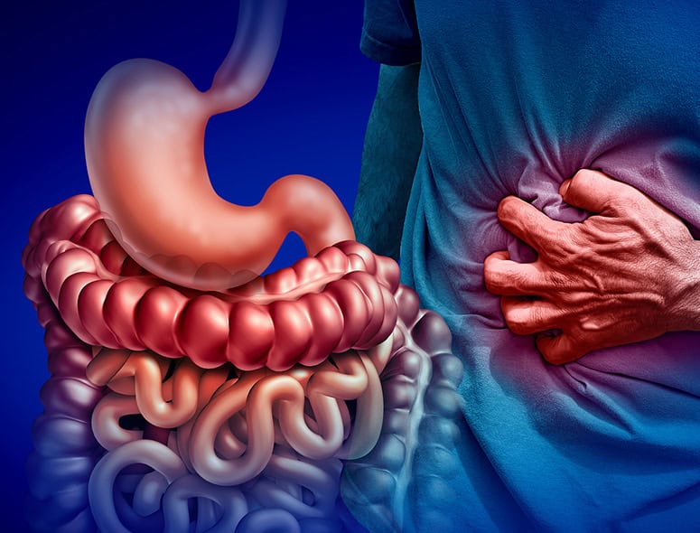 Illustration of human digestive system highlighting stomach and intestines.