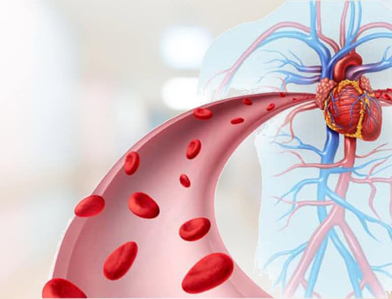 Illustration of blood flow in arteries related to rectal bleeding.
