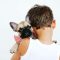 Adorable French Bulldog puppy with a red and white striped bowtie resting on a child's shoulder, promoting K-9 connections and training for kids and families.