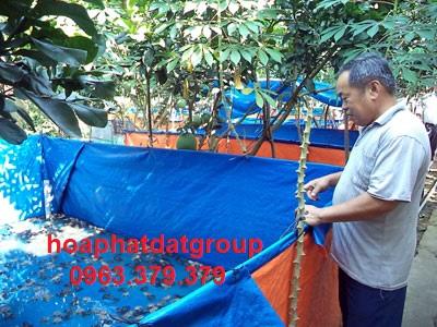 Lót bạt nuôi ếch Kỹ thuật lót bạt nuôi thủy sản