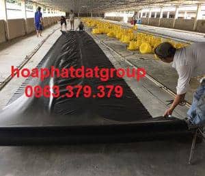 Bạt che chuồng trại Bạt che chuồng trại chăn nuôi giá rẻ Hòa Phát Đạt