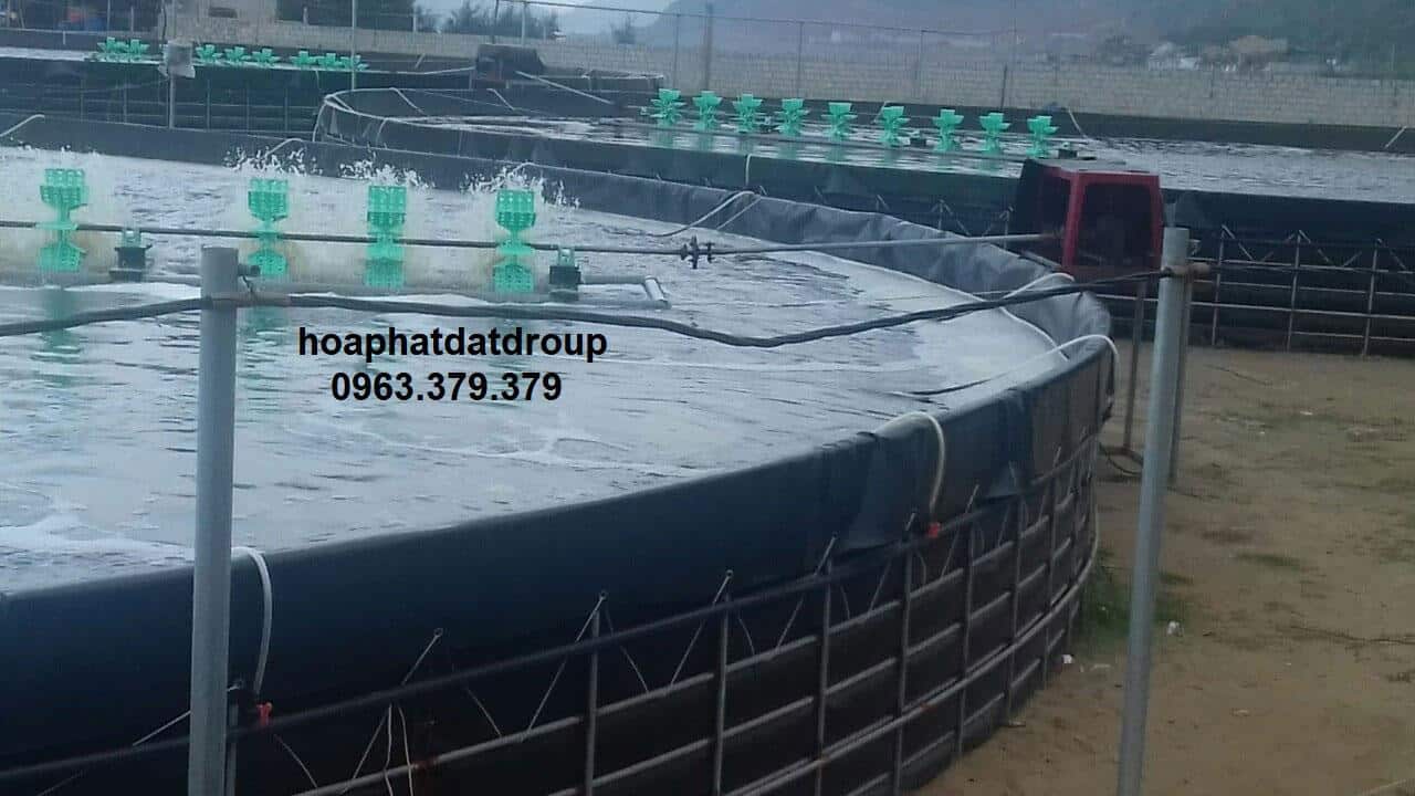 Hoàn thiện lót bạt trải hồ HDPE màng chống thấm hdpe hòa phát đạt bạt trải hồ HDPE