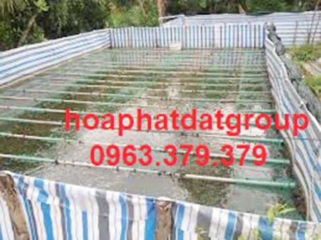 Bạt nhựa đa năng Bạt nhựa đa năng Hòa Phát Đạt