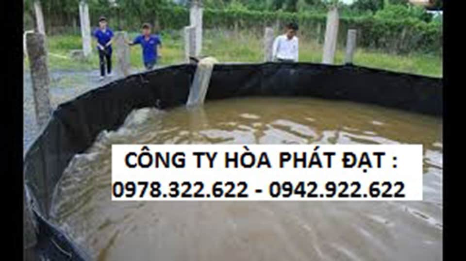 Cơ Sở Kinh Doanh Bạt Lót Hồ Ao Cá Chứa Nước Ở Đắk R'lấp Đắk Nông Cơ sở Hòa Phát Đạt chuyên kinh doanh bạt lót ao hồ cá cảnh, bạt hồ chứa nước chống thấm tại Đắk R'lấp, Đắk Nông