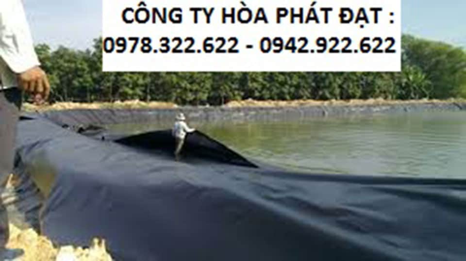 Cung Cấp Bạt Nhựa Lót Ao Hồ Nuôi Cá Chống Thấm Giá Tốt Nhất Tại Đắk Mil Đắk Nông Địa chỉ cung cấp bạt nhựa HDPE lót ao hồ nuôi cá, hầm biogas chống thấm nước giá tốt nhất ở Đắk Mil, Đắk Nông