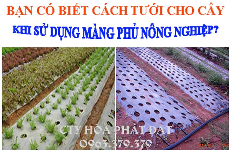 Hướng dẫn sử dụng màng nông nghiệp Hướng dẫn cách sữ dụng hiểu quả màng nông nghiệp