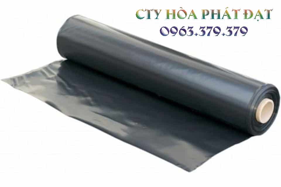 Tấm màng phủ đất màu đen Tấm màng phủ đất màu đen PE