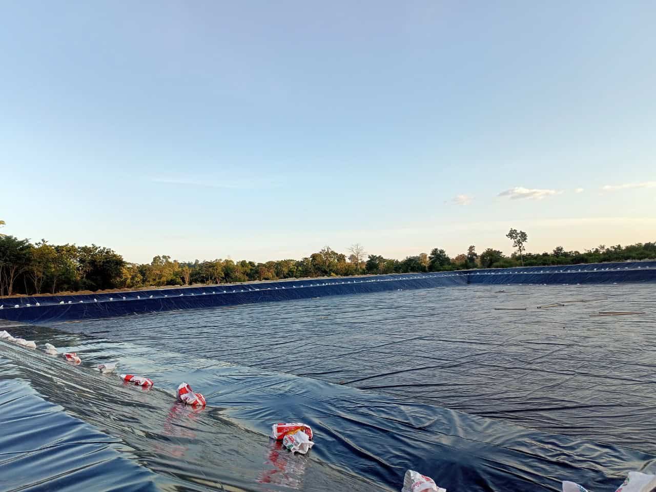 Ứng dụng bạt HDPE Ứng dụng đa năng của bạt lót HDPE trong nông nghiệp