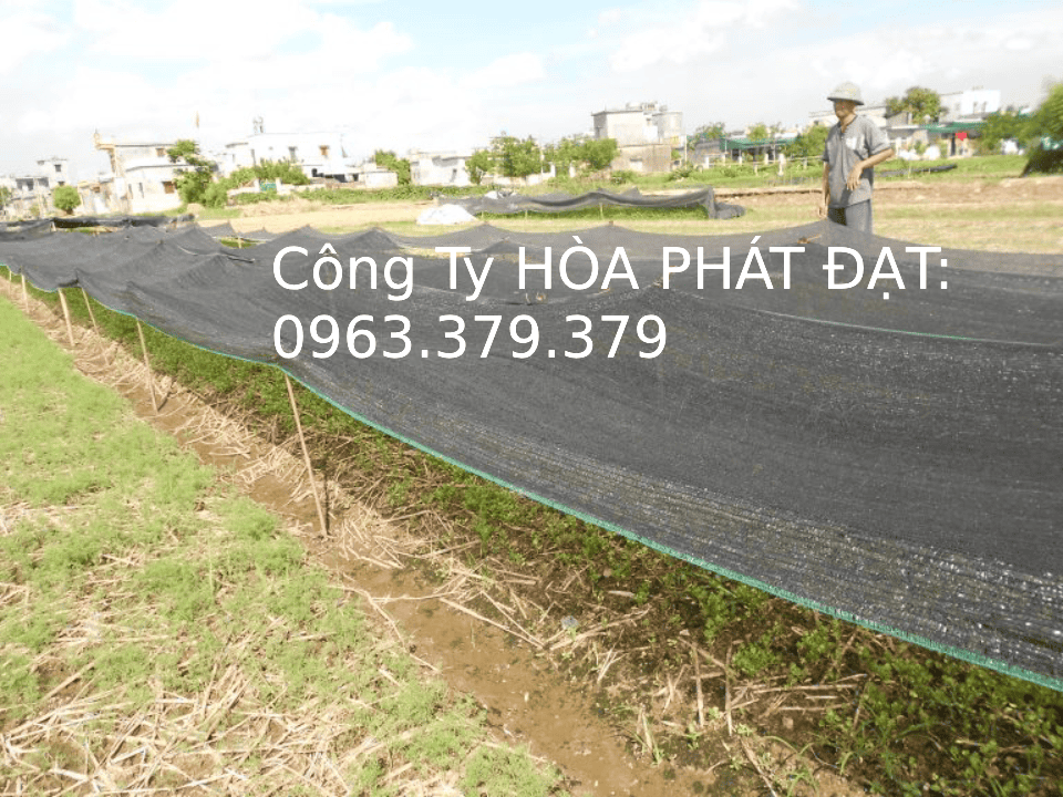 Lưới che nắng Thái Lan giá rẻ Cung cấp Lưới che nắng Thái lan ngoài trời giá rẻ