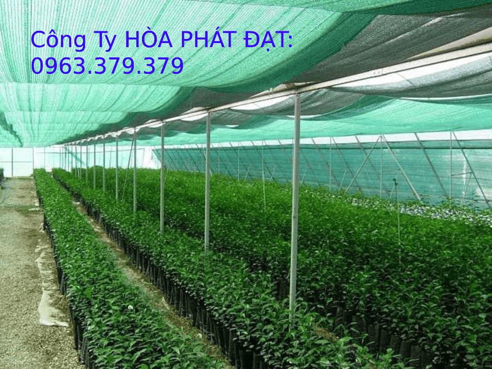 Lưới che nắng Hòa Phát Đạt Lưới che nắng Thái Lan thương hiệu Hòa Phát Đạt