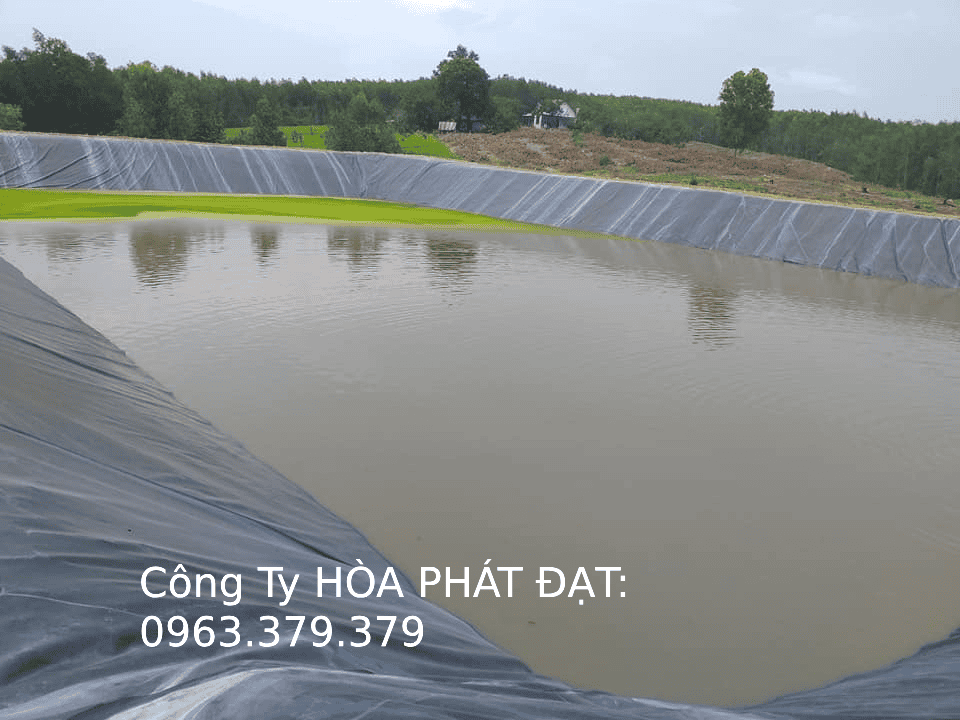 Màng chống thấm HDPE giá rẻ Hòa Phát Đạt Màng chống thấm HDPE giá rẻ lót ao nuôi tôm cá