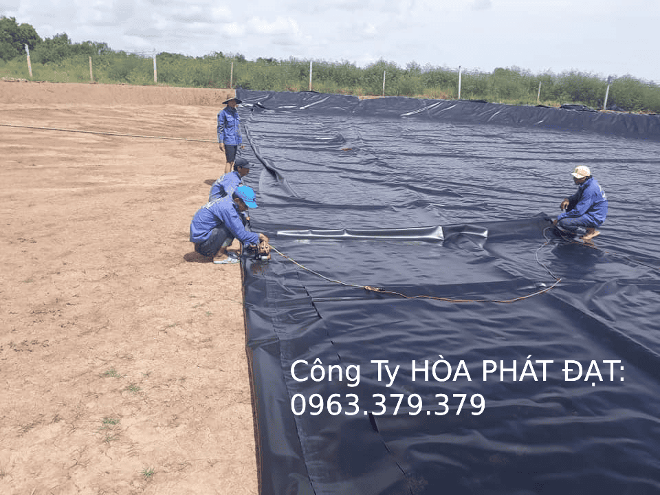 Màng phủ ao nuôi tôm Màng phủ ao nuôi tôm HDPE công nghệ cao