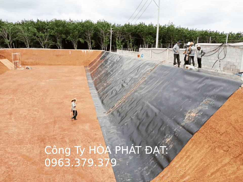Màng chống thấm HDPE Màng chống thấm HDPE thương hiệu Hòa Phát Đạt số 1 Việt Nam
