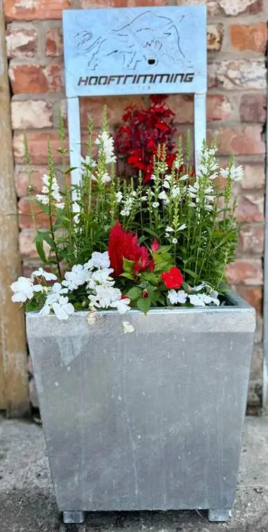 Planter with colorful flowers against brick wall.