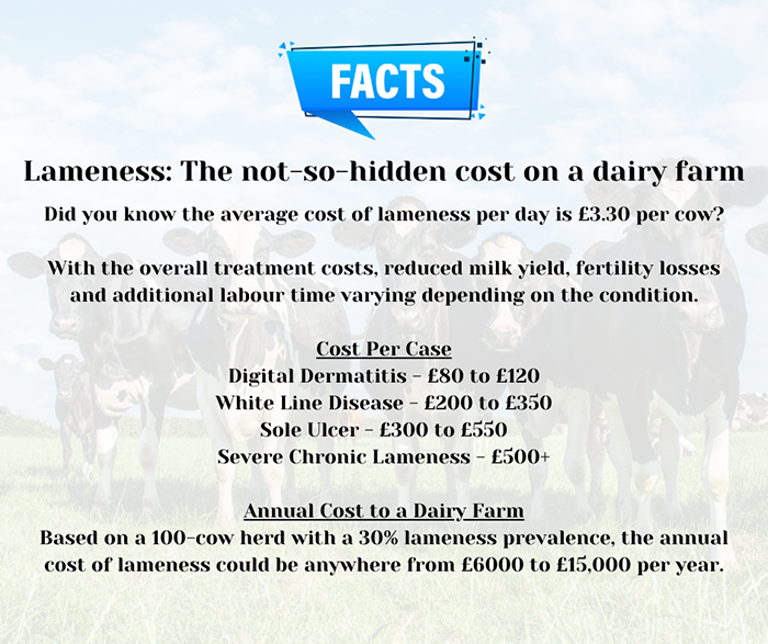 Dairy farm lameness costs and impact overview.
