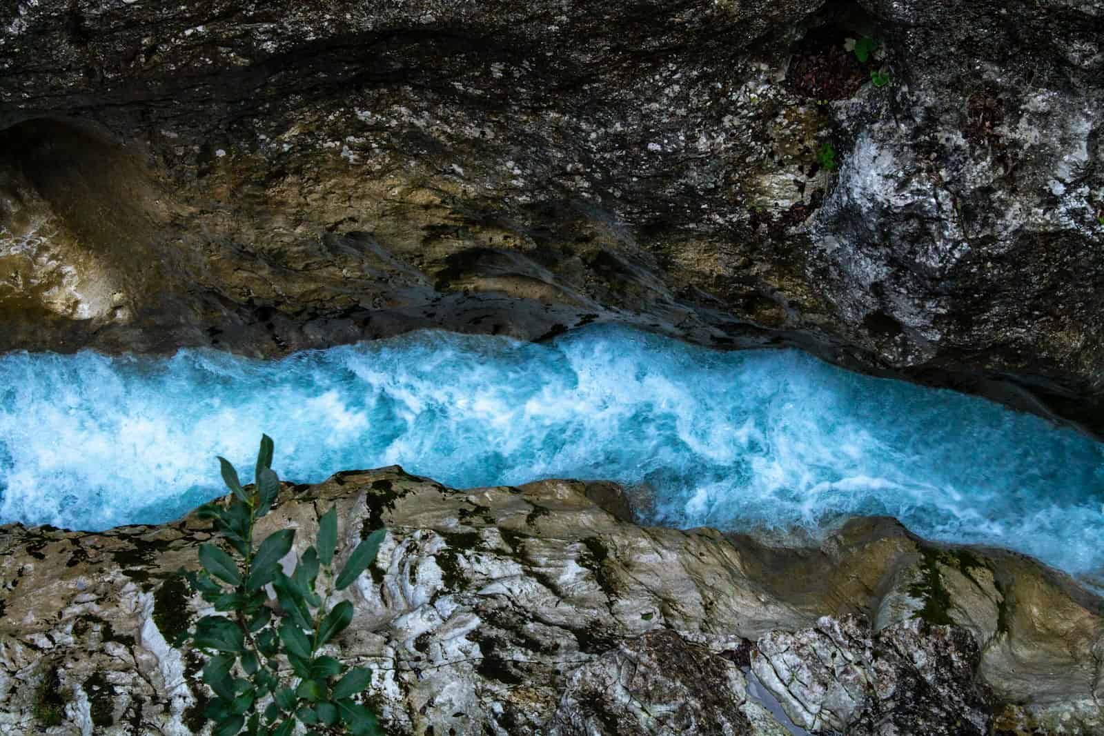 River foam lines tracing changes in current speed