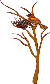 image of a bird by a nest