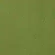 Leaf Green