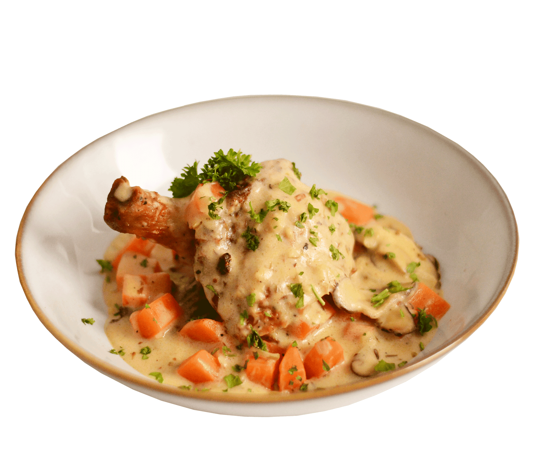 French-Creamy-Chicken-Stew-9