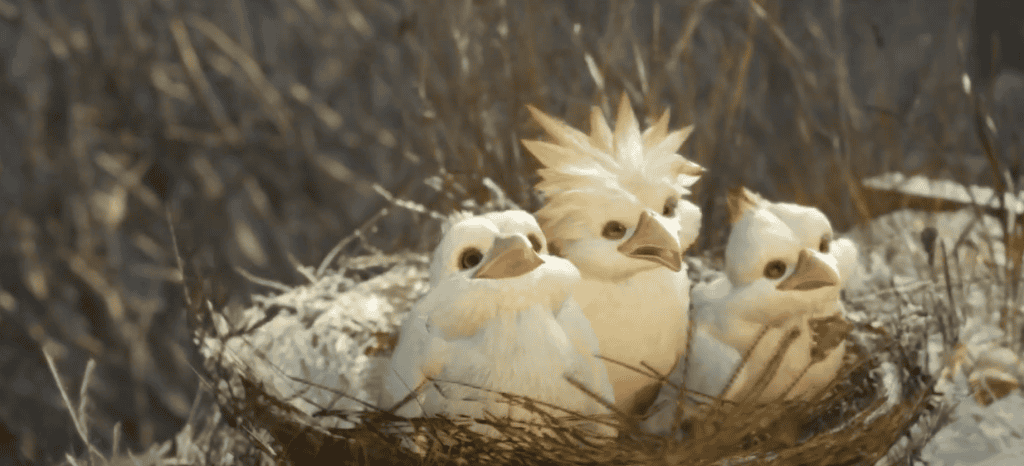 3 baby birds