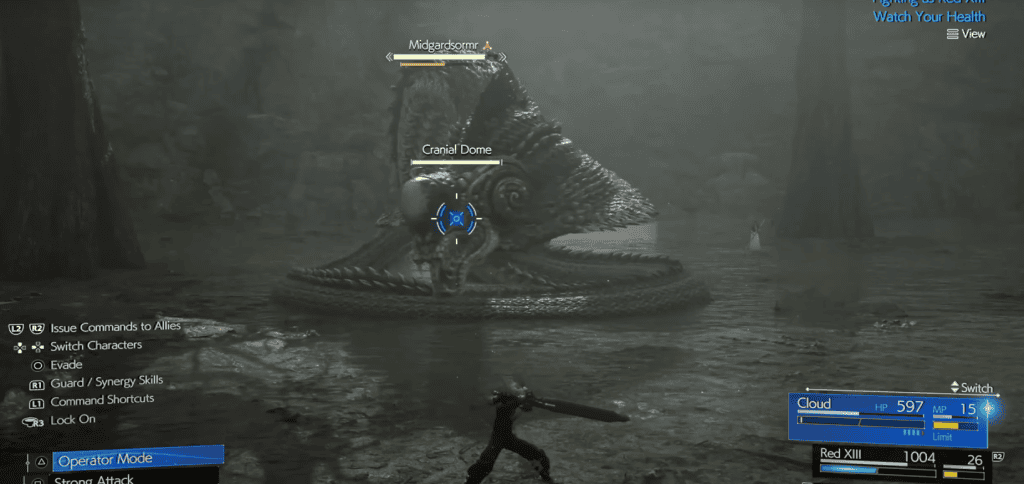 fighting midgar swamp snake