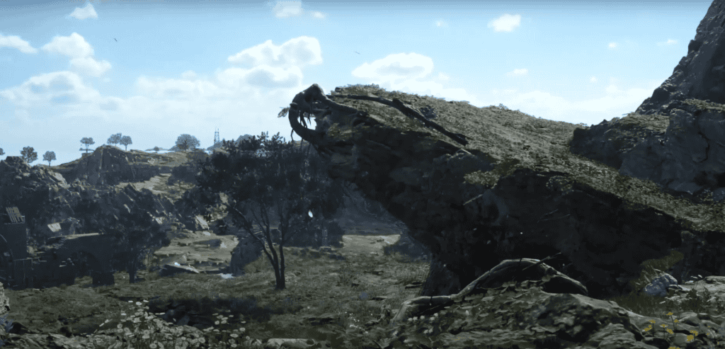 the grasslands