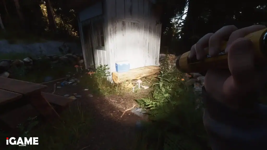 Searching an abandoned cabin for supplies in ARDEM