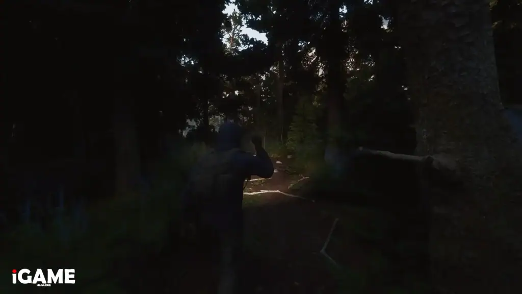 Exploring woodland trails in ARDEM survival game