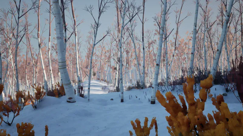 A snow-covered birch forest in the wilds around Harmont in BLACKFROST: The Long Dark 2