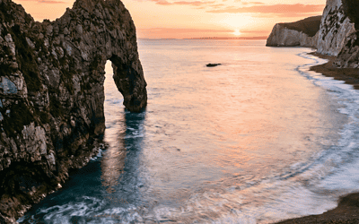 The 2026 Dorset Healthcare Map