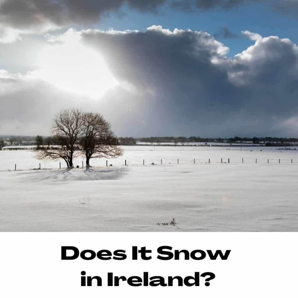 Bright winter landscape in Ireland with snow-covered fields and a leafless tree under a dramatic cloudy sky.