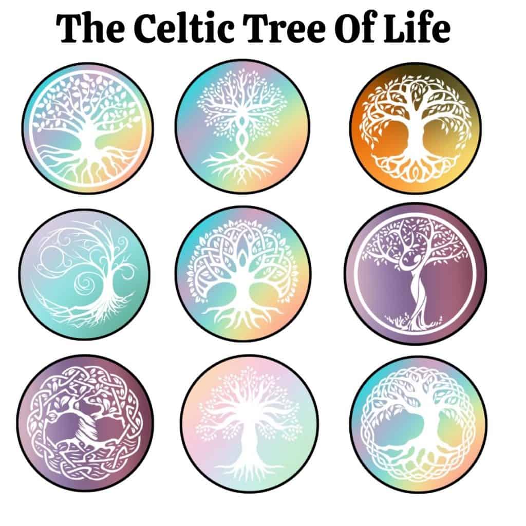 Colorful Celtic tree of life symbols representing Irish heritage and culture.