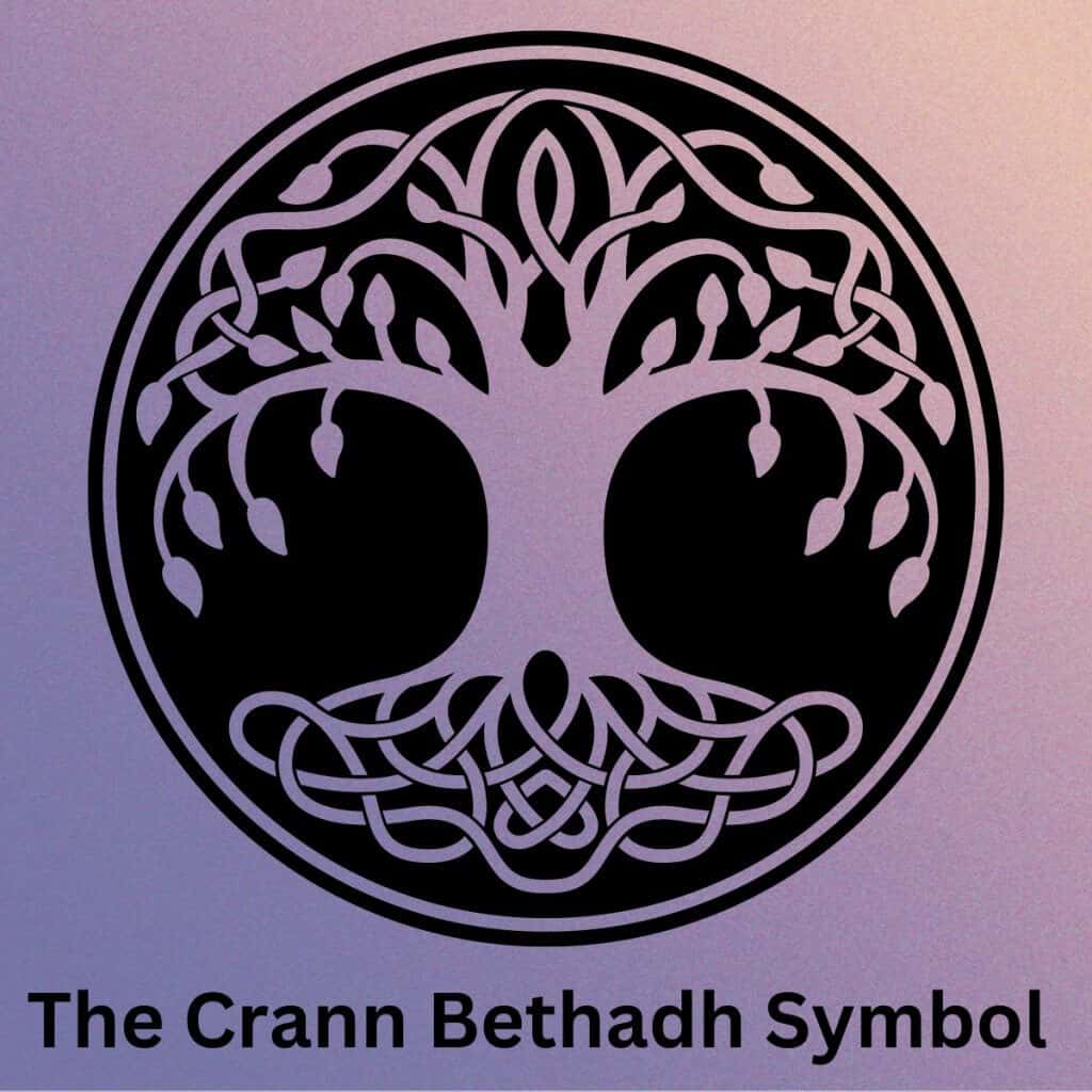 Elegant Celtic tree of life symbol representing Irish heritage and culture.