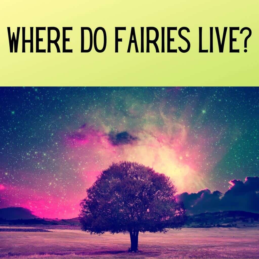 Where Do Fairies Live?