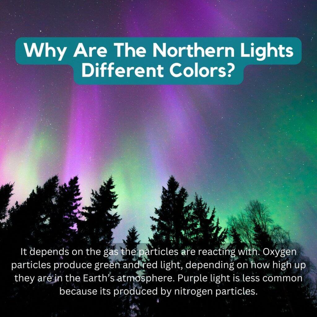 Vivid Northern Lights with green, purple, and pink hues over silhouetted trees in Ireland.