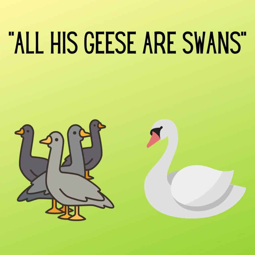 Fluffy cartoon swan with four geese on a bright green background.