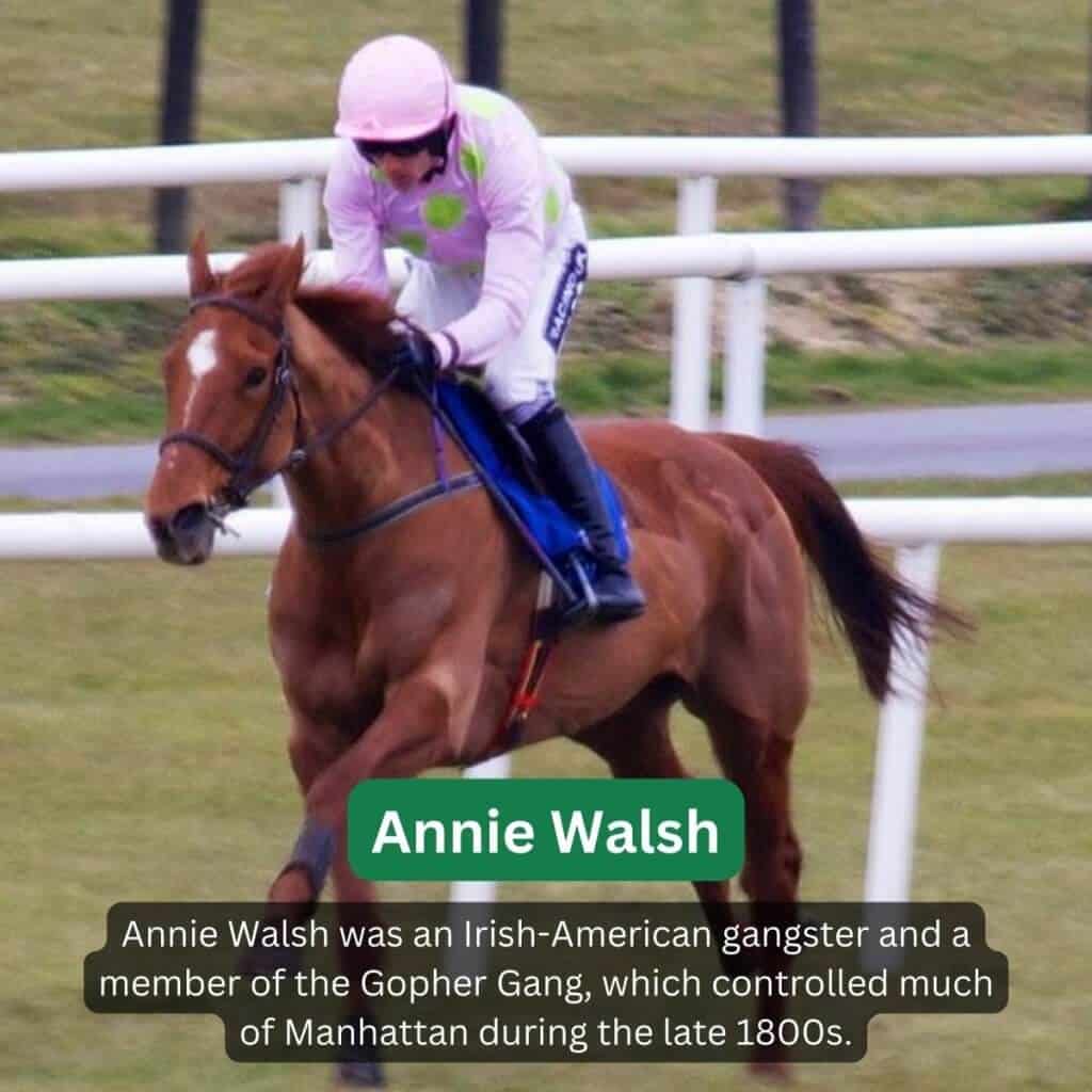 Irish jockey riding a racehorse on a track.