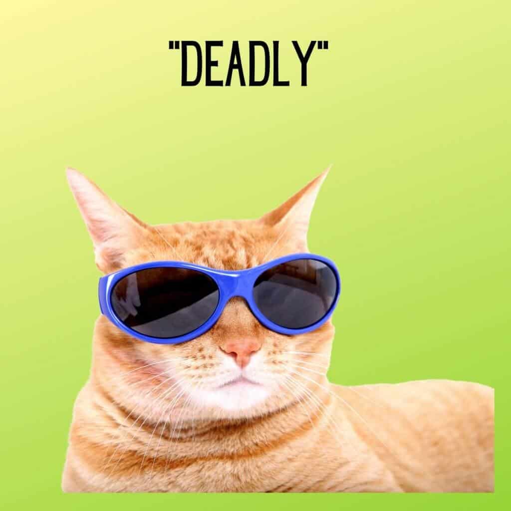 Stylish orange tabby cat wearing blue sunglasses on bright green background.