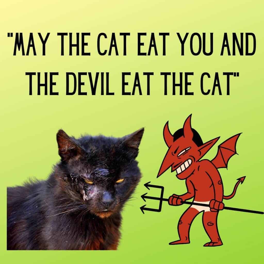 Dark, worn-out black cat with a mischievous expression on a bright green background.