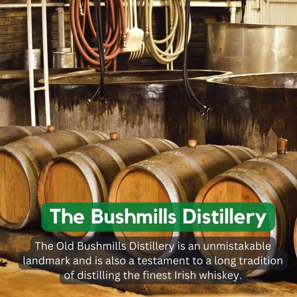 Barrels at The Bushmills Distillery, Ireland, showcasing whiskey aging process.
