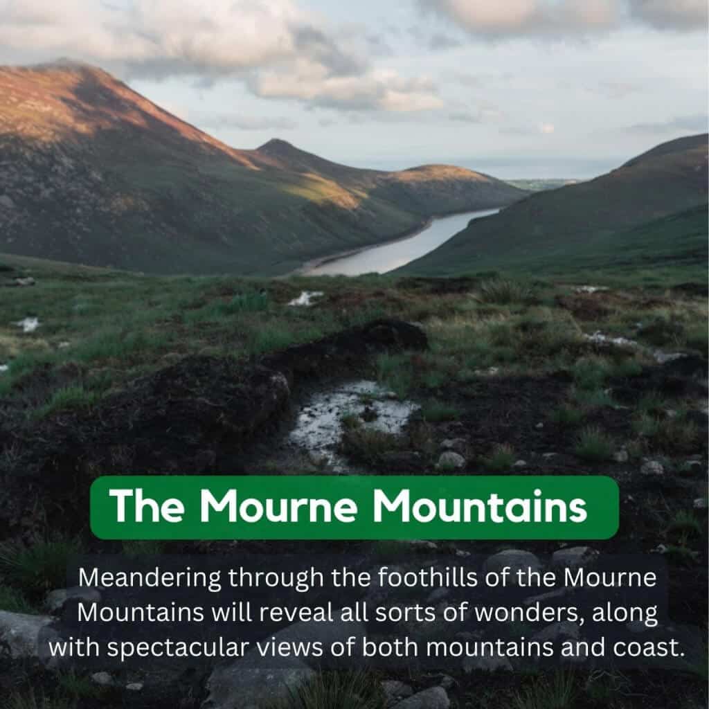 Mourne Mountains landscape with rolling hills and a river in Ireland.