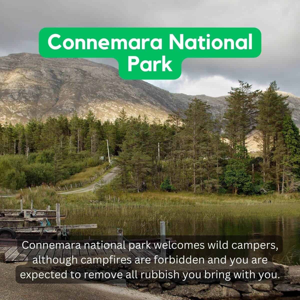 Connemara National Park scenic landscape with mountains and forest in Ireland.