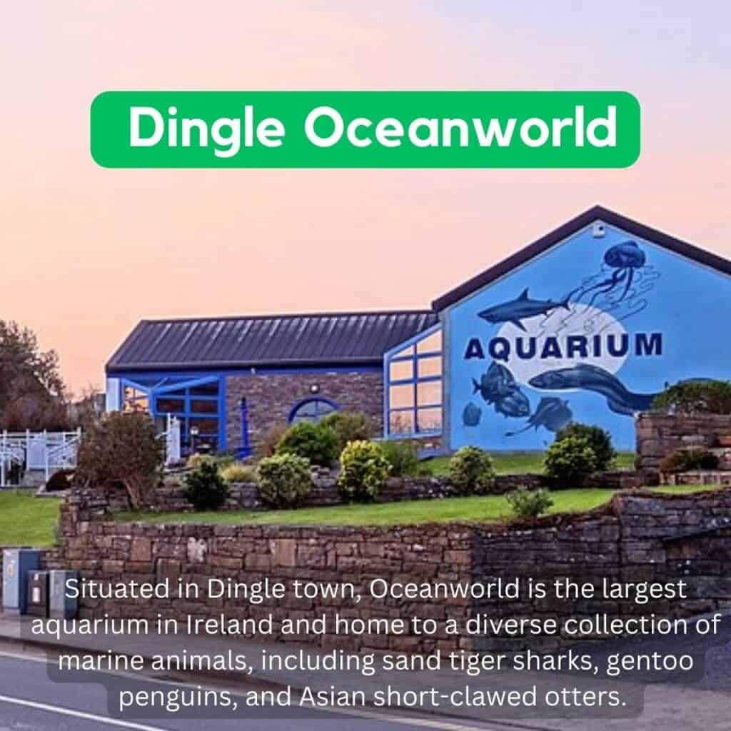 _Dingle Oceanworld