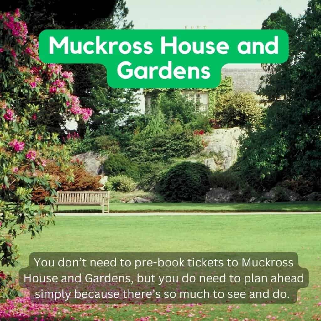 Vibrant garden scene at Muckross House and Gardens in Ireland, lush greenery and colorful flowers.