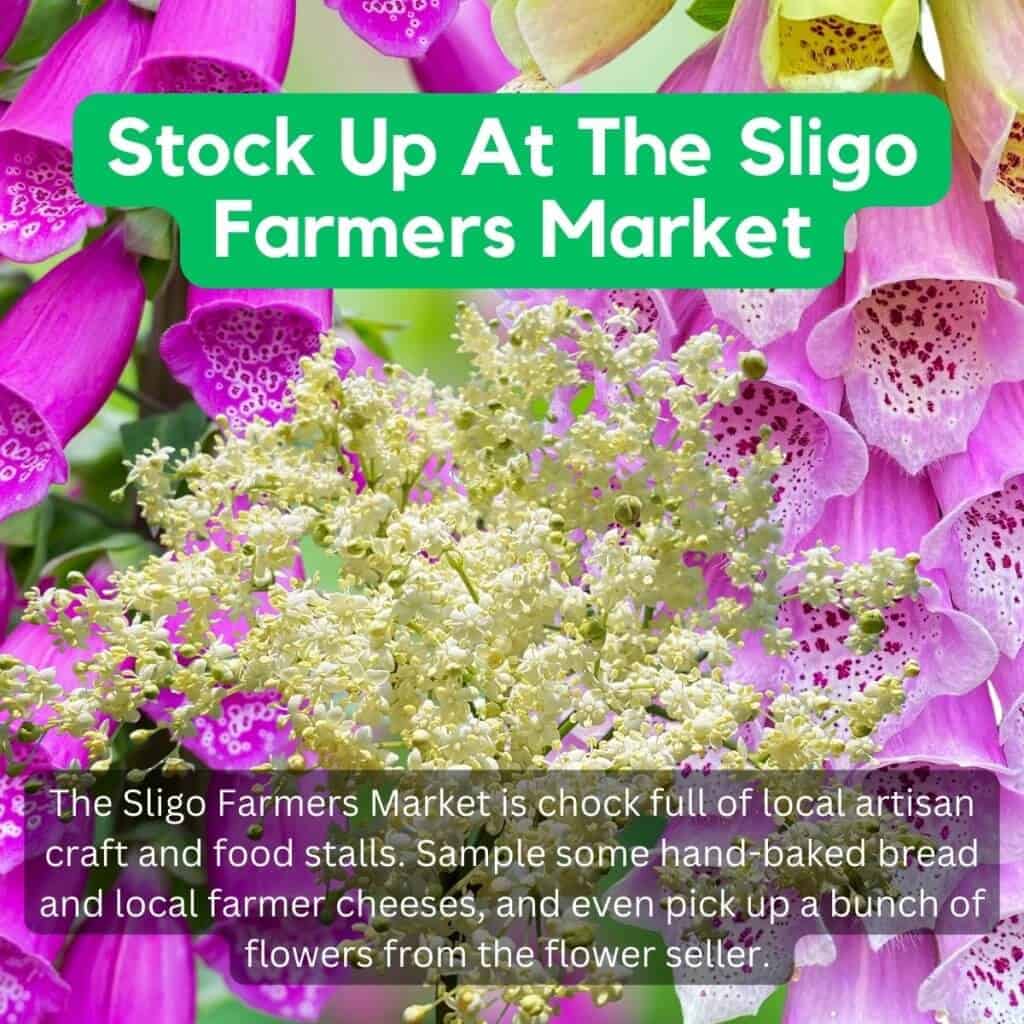 Colorful flowers and text overlay promoting Sligo Farmers Market in Ireland.