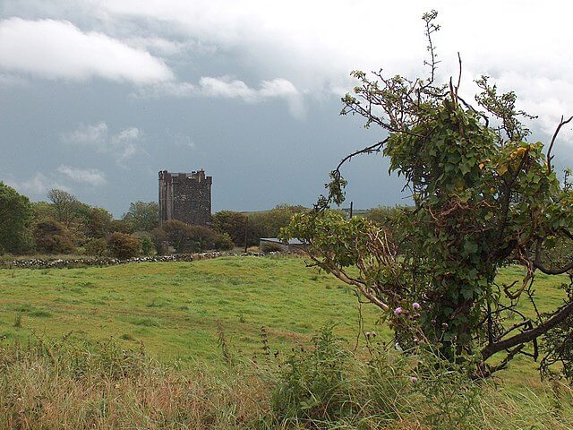 Ancient Irish castle ruins surrounded by lush greenery and wildflowers.